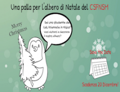 Contest launched: a ball for the CSFNSM Christmas tree